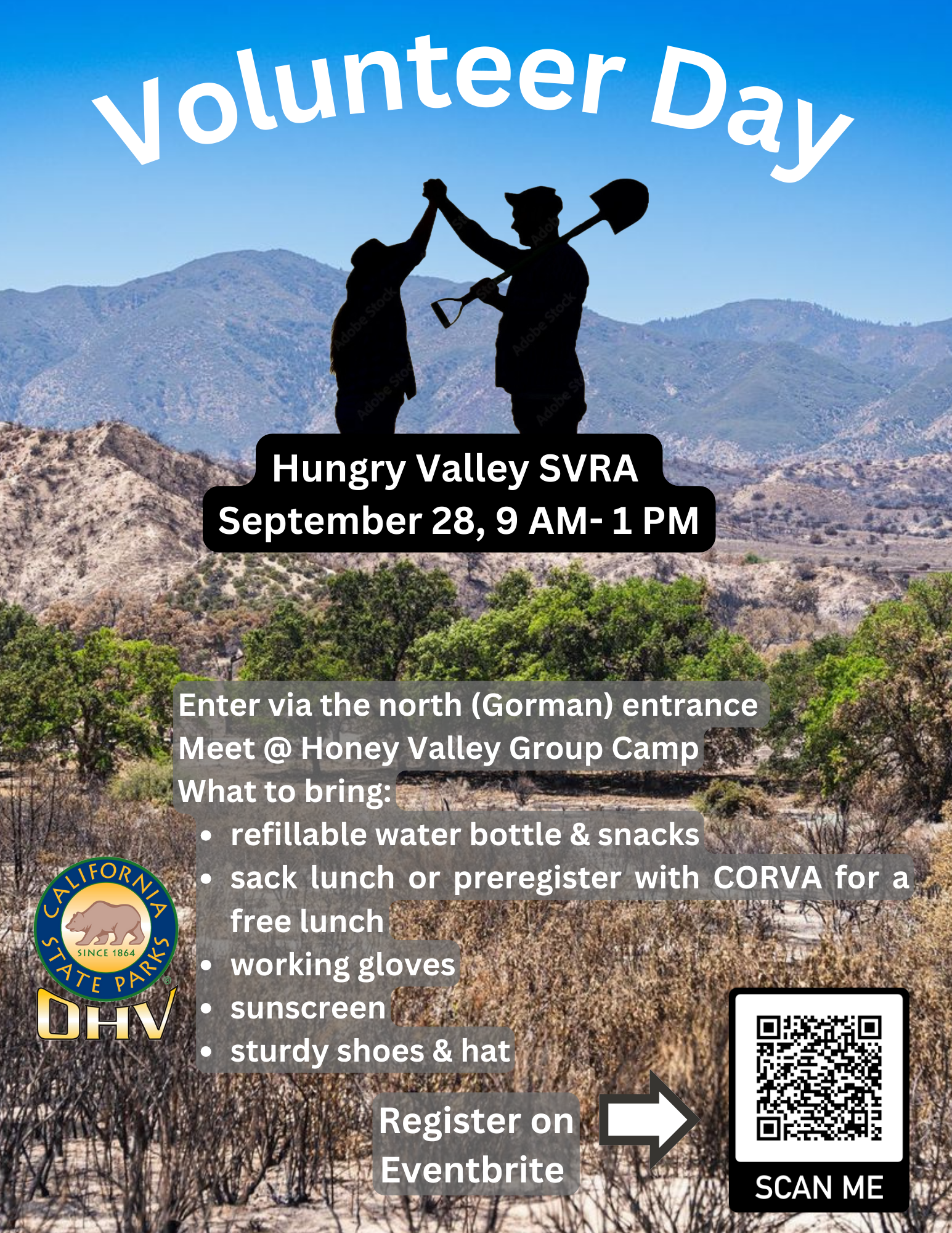 Volunteer Day 2024 flyer
